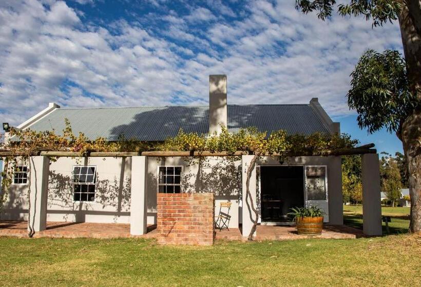 غرفة قياسية, Saronsberg Vineyard Cottages