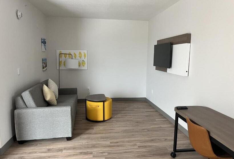 جناح لذوى الاحتياجات الخاصة, Comfort Inn & Suites New Port Richey Downtown District