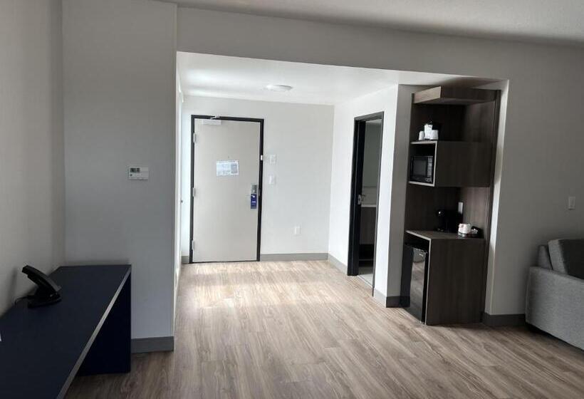 جناح لذوى الاحتياجات الخاصة, Comfort Inn & Suites New Port Richey Downtown District