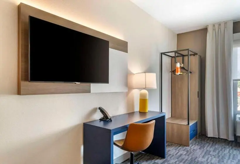 スタンダードルーム, Comfort Inn & Suites New Port Richey Downtown District