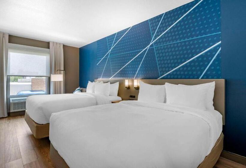 غرفة قياسية, Comfort Inn & Suites New Port Richey Downtown District