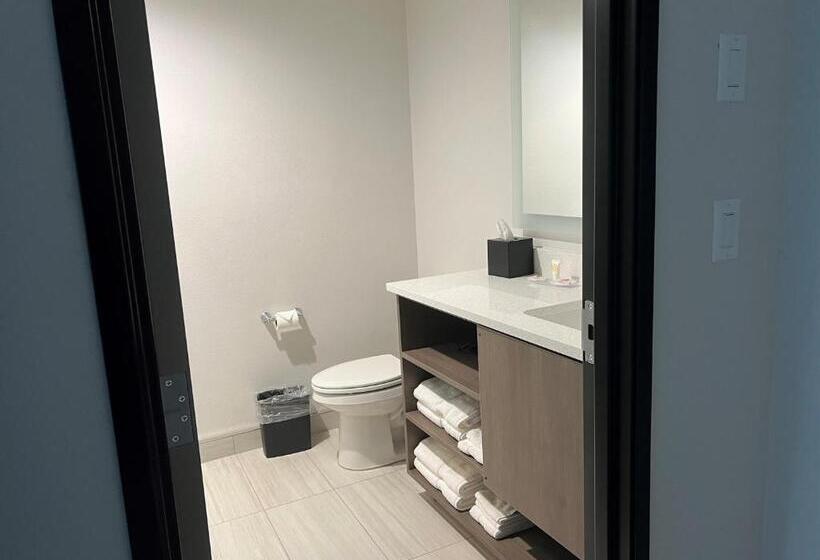 Номер Стандарт, Comfort Inn & Suites New Port Richey Downtown District
