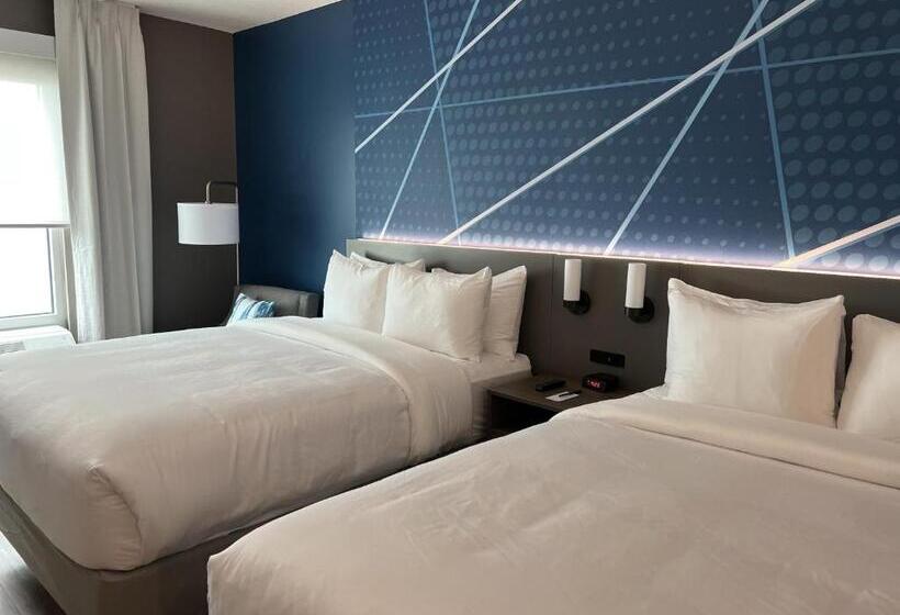 غرفة قياسية, Comfort Inn & Suites New Port Richey Downtown District