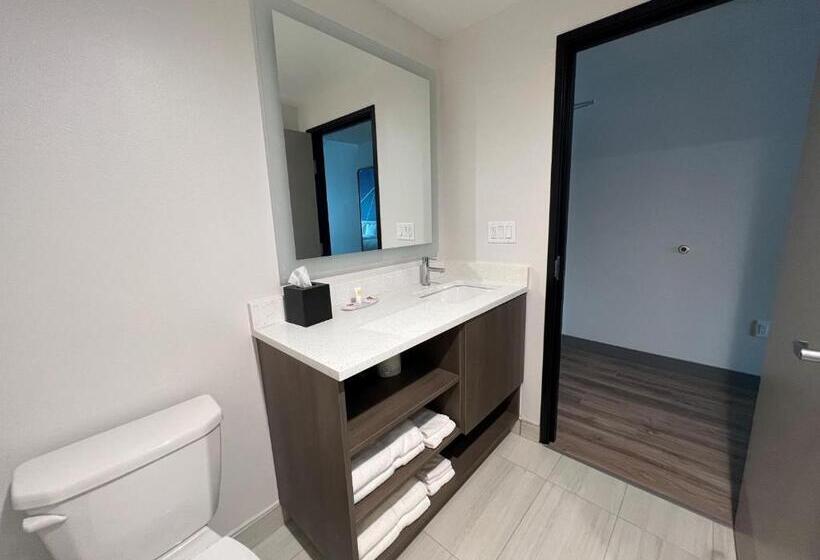 Номер Стандарт, Comfort Inn & Suites New Port Richey Downtown District