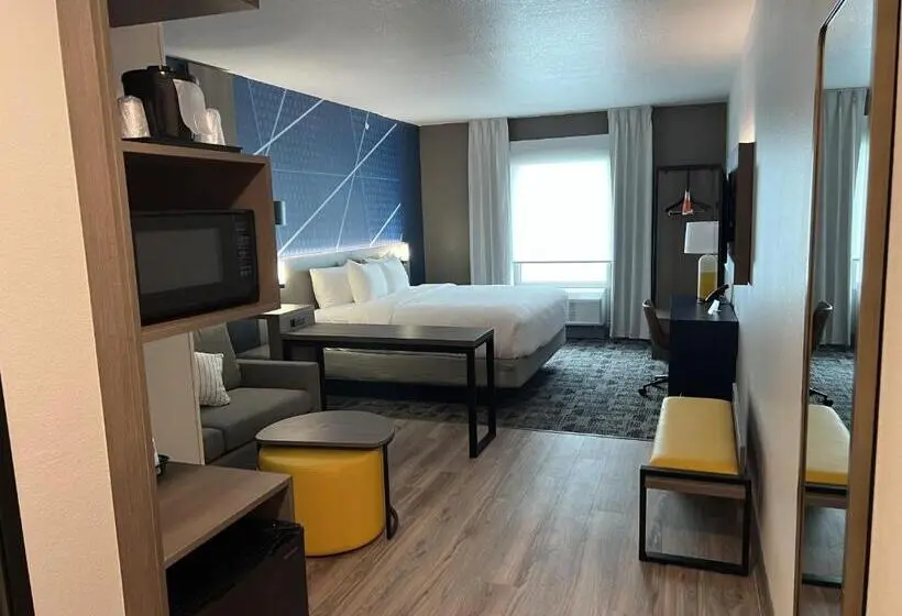 身障者適用キングサイズベッドルーム, Comfort Inn & Suites New Port Richey Downtown District