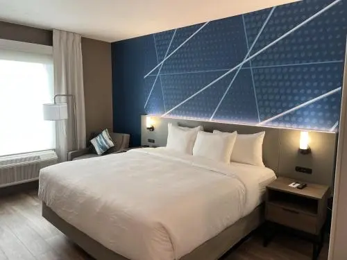 身障者適用キングサイズベッドルーム, Comfort Inn & Suites New Port Richey Downtown District