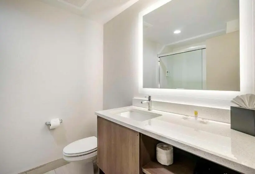 キングサイズベッドのスタンダードルーム, Comfort Inn & Suites New Port Richey Downtown District