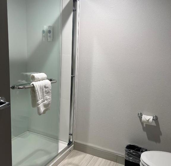 غرفة قياسية سرير كينج, Comfort Inn & Suites New Port Richey Downtown District