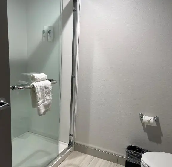 キングサイズベッドのスタンダードルーム, Comfort Inn & Suites New Port Richey Downtown District