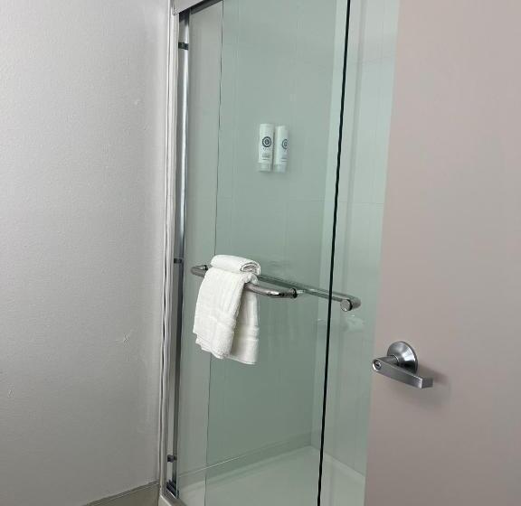 غرفة قياسية سرير كينج, Comfort Inn & Suites New Port Richey Downtown District