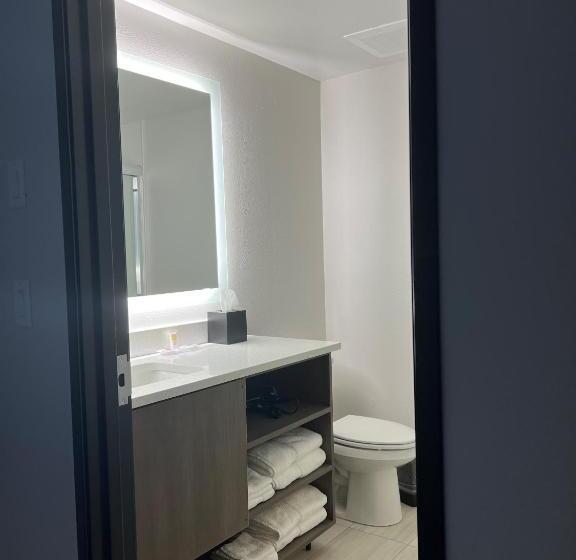 غرفة قياسية سرير كينج, Comfort Inn & Suites New Port Richey Downtown District