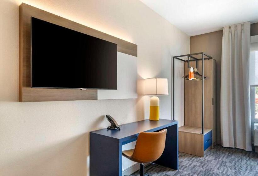 غرفة قياسية لذوى الاحتياجات الخاصة, Comfort Inn & Suites New Port Richey Downtown District