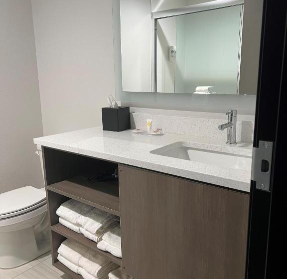 غرفة قياسية لذوى الاحتياجات الخاصة, Comfort Inn & Suites New Port Richey Downtown District