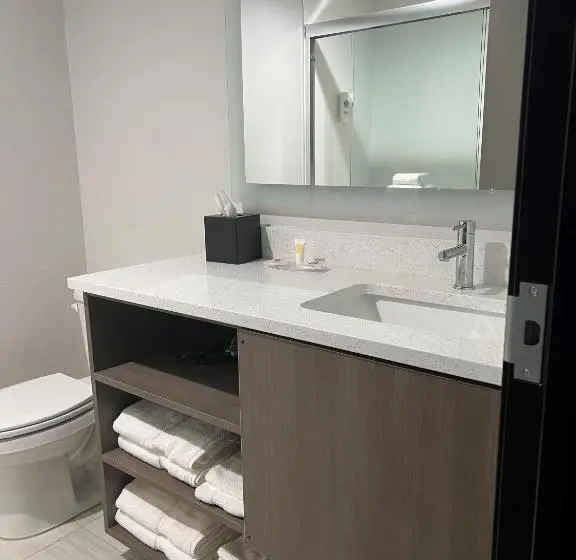 身障者適用スタンダードルーム, Comfort Inn & Suites New Port Richey Downtown District
