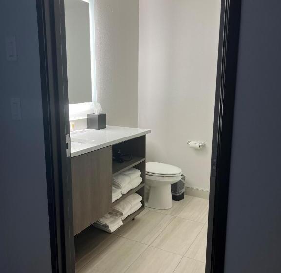 Номер Стандарт Адаптированный для Инвалидов, Comfort Inn & Suites New Port Richey Downtown District