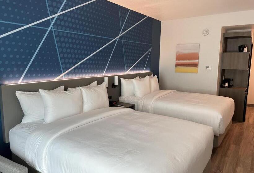 غرفة قياسية لذوى الاحتياجات الخاصة, Comfort Inn & Suites New Port Richey Downtown District