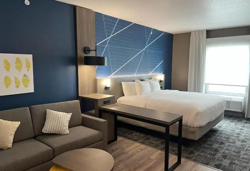 スイート, Comfort Inn & Suites New Port Richey Downtown District