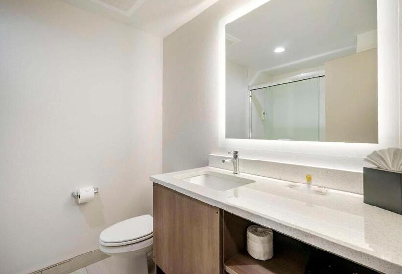 جناح سرير كينج, Comfort Inn & Suites New Port Richey Downtown District