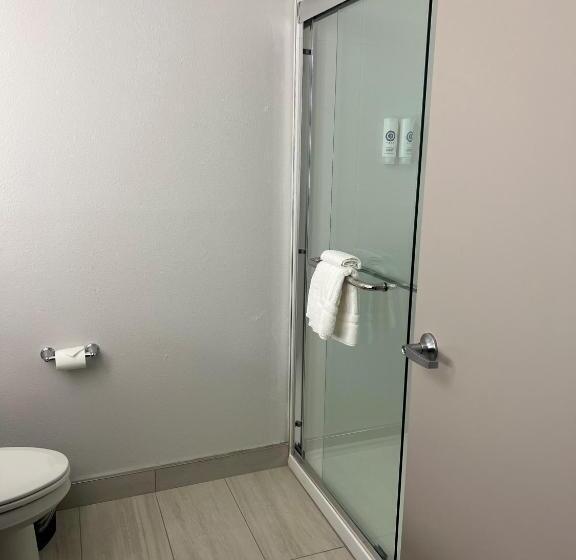 غرفة قياسية, Comfort Inn & Suites New Port Richey Downtown District