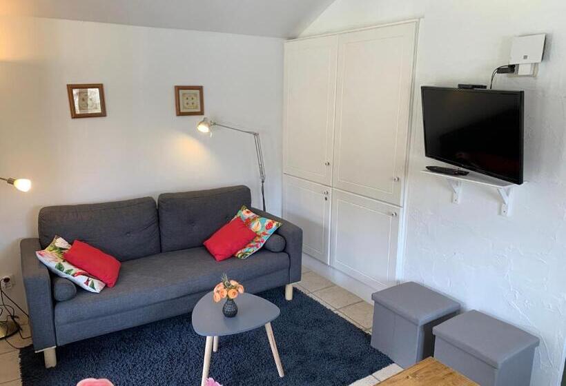 침실 1개 풀장 전망 아파트, Maison Castellane Chambre D Hotes B&b