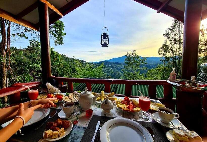 Family Room Mountain View, Guest Inn Avendra