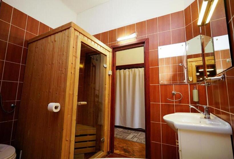 Апартаменты Deluxe 1 Спальня, Pensiunea Noemi