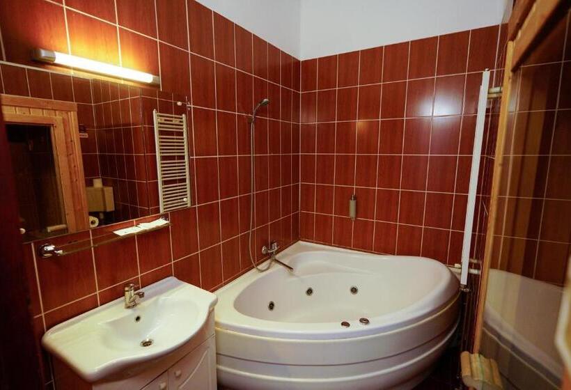 Апартаменты Deluxe 1 Спальня, Pensiunea Noemi