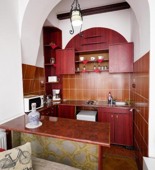 Апартаменты Deluxe 1 Спальня, Pensiunea Noemi