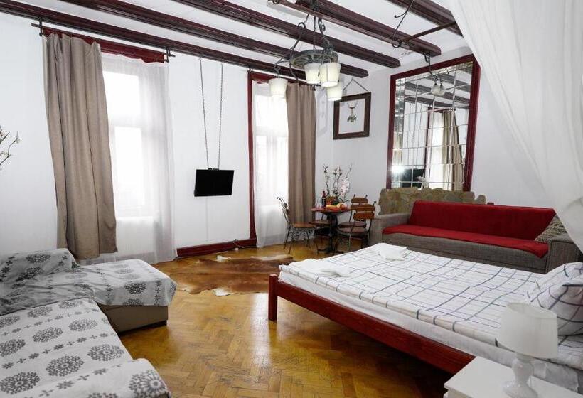 Апартаменты Deluxe 1 Спальня, Pensiunea Noemi