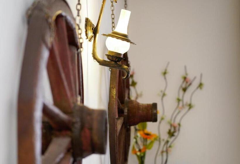 Апартаменты Deluxe 1 Спальня, Pensiunea Noemi