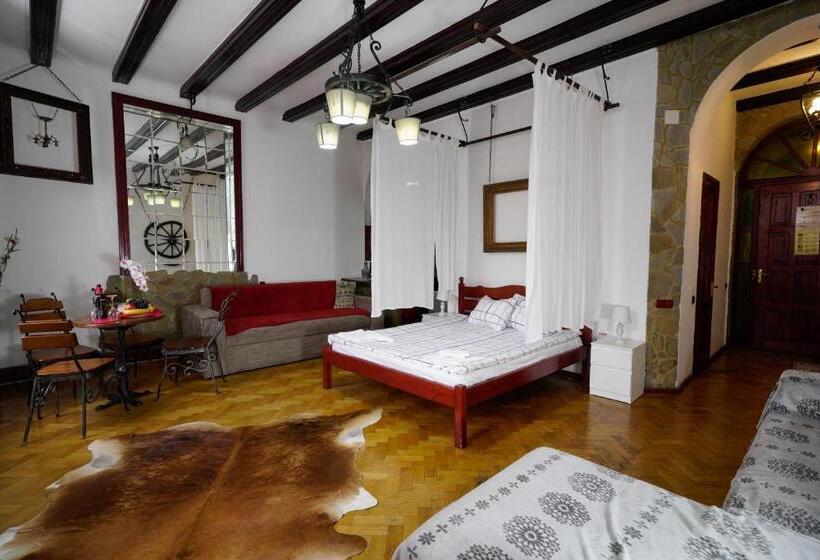 Апартаменты Deluxe 1 Спальня, Pensiunea Noemi