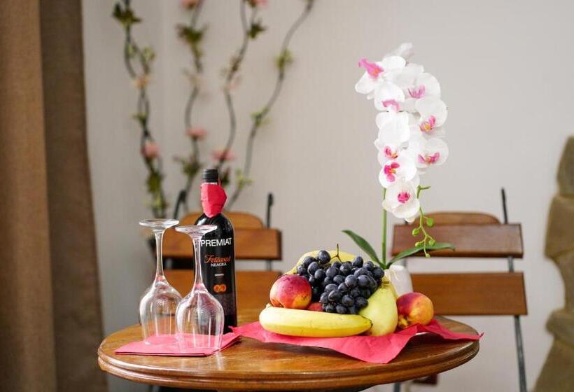 Апартаменты Deluxe 1 Спальня, Pensiunea Noemi