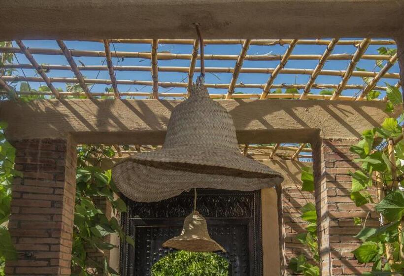 Standard Tent, Manzil La Tortue