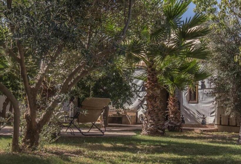 Standard Tent, Manzil La Tortue