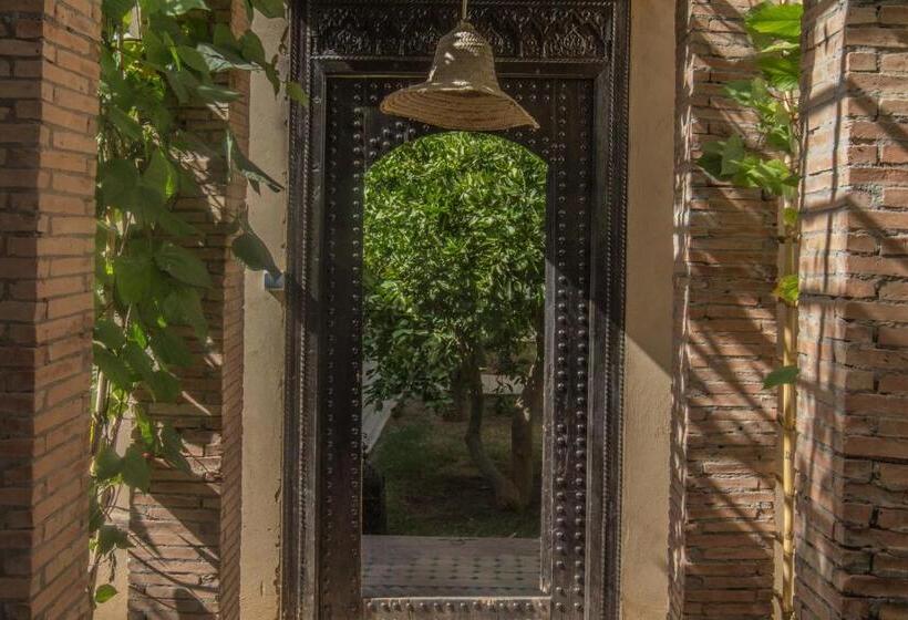 Standard Tent, Manzil La Tortue