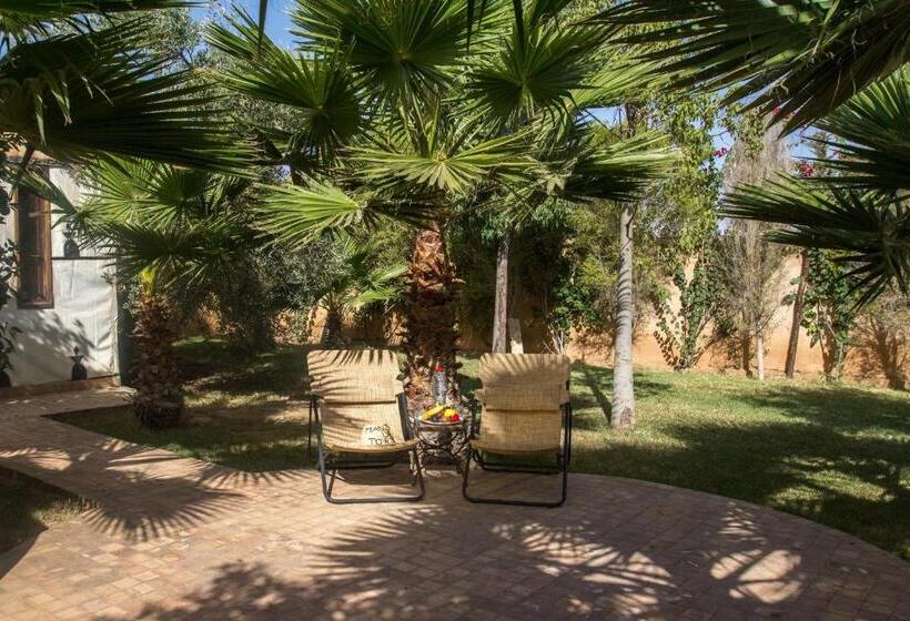 Standard Tent, Manzil La Tortue