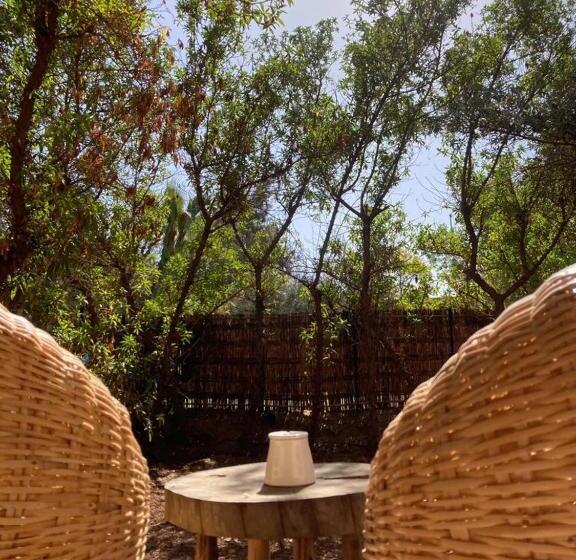 חדר סטנדרט, Manzil La Tortue