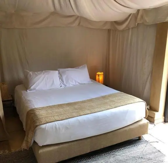 Standard Tent, Manzil La Tortue