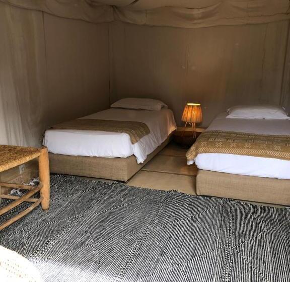 Standard Tent, Manzil La Tortue