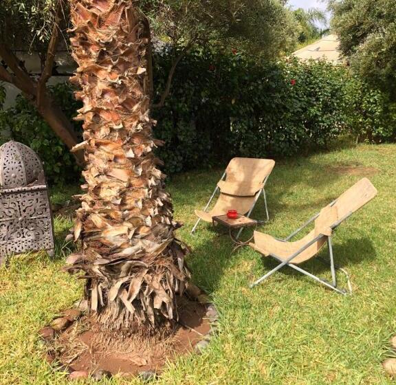 Standard Tent, Manzil La Tortue