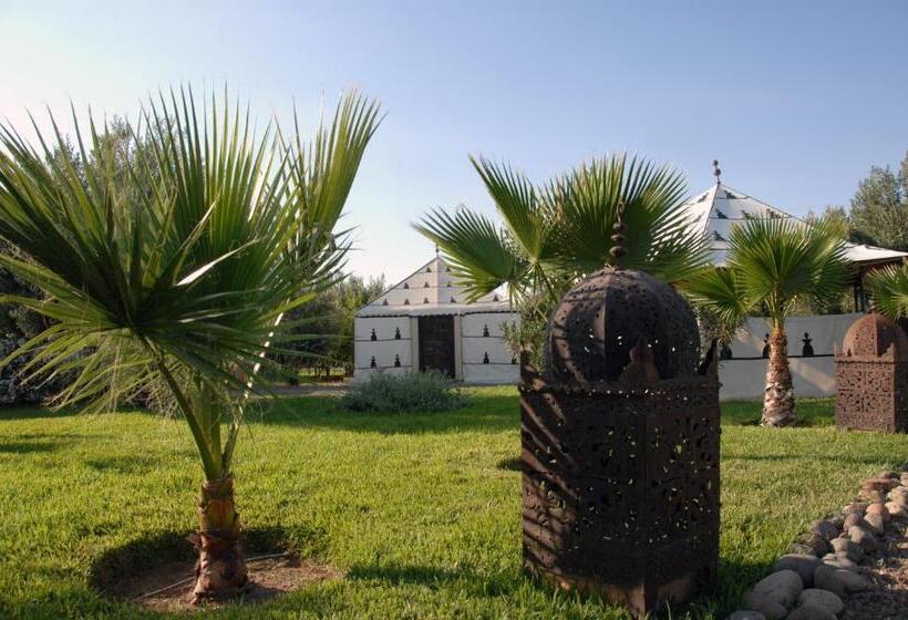 Standard Tent, Manzil La Tortue