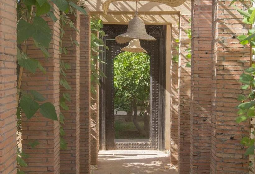 Deluxe Tent, Manzil La Tortue