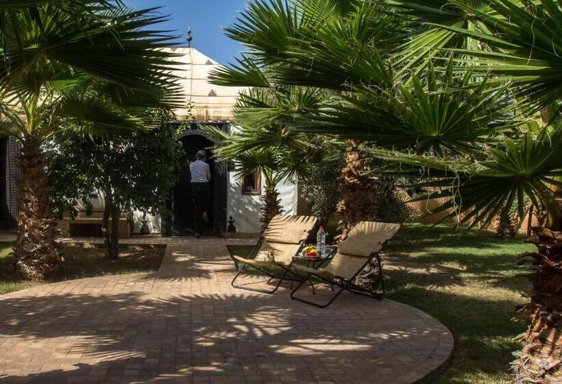 Deluxe Tent, Manzil La Tortue