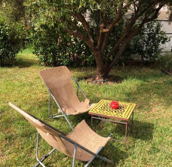 Superior Tent, Manzil La Tortue