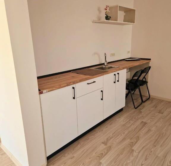 Apartament 1 Dormitor, Complex Turistic N&s