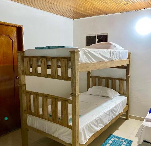 اتاق استاندارد چهار تخته, Aurelia Compartida Hospedaje