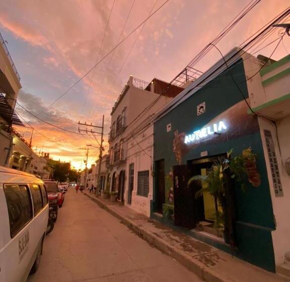 バス共有のスタンダードルーム, Aurelia Compartida Hospedaje