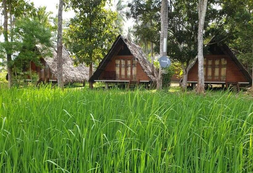 Номер Стандарт, Monara Arana Farm Resort