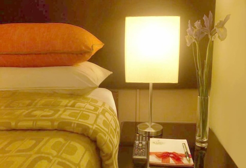 Номер Стандарт Индивидуальный, Acuario Hotel & Suite