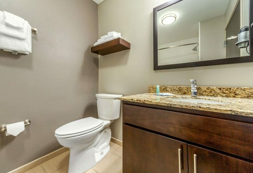 套房, Mainstay Suites Lincoln University Area